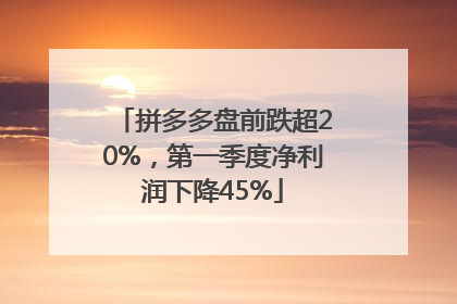 拼多多盘前跌超20%，第一季度净利润下降45%