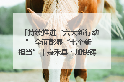 持续推进“六大新行动 ” 全面彰显“七个新担当”｜嘉禾县：加快铸造行业提档升级 助力绿色高质量发展