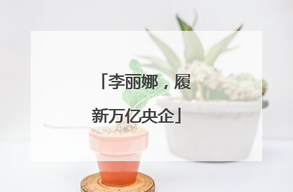 李丽娜，履新万亿央企