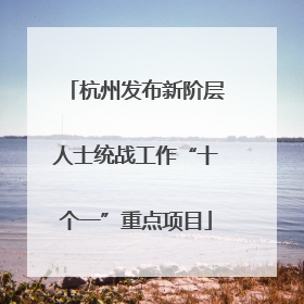 杭州发布新阶层人士统战工作“十个一”重点项目
