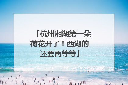 杭州湘湖第一朵荷花开了！西湖的还要再等等