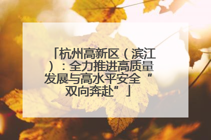 杭州高新区（滨江）：全力推进高质量发展与高水平安全“双向奔赴”