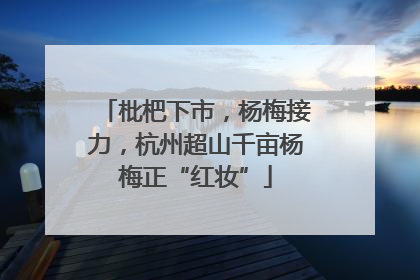 枇杷下市，杨梅接力，杭州超山千亩杨梅正“红妆”