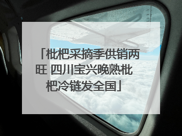 枇杷采摘季供销两旺 四川宝兴晚熟枇杷冷链发全国