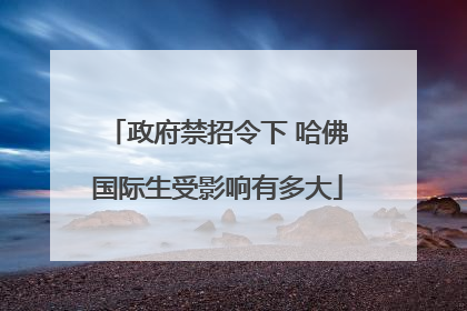 政府禁招令下 哈佛国际生受影响有多大