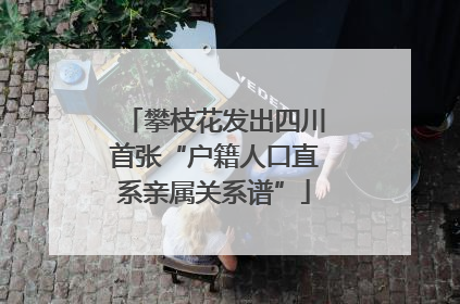 攀枝花发出四川首张“户籍人口直系亲属关系谱”