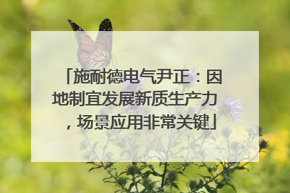 施耐德电气尹正：因地制宜发展新质生产力，场景应用非常关键