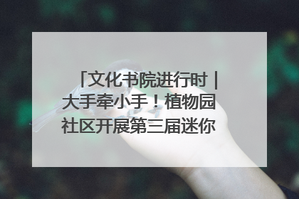 文化书院进行时｜大手牵小手！植物园社区开展第三届迷你马拉松活动