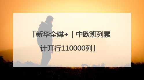 新华全媒+｜中欧班列累计开行110000列