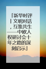 新华时评丨文明对话，互鉴共生——中欧人权研讨会十年之路的深刻启示