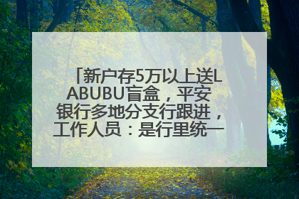 新户存5万以上送LABUBU盲盒，平安银行多地分支行跟进，工作人员：是行里统一的，进货渠道不清楚