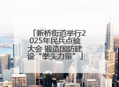 新桥街道举行2025年民兵点验大会 锻造国防建设“拳头力量”