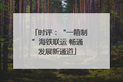 时评：“一箱制”海铁联运 畅通发展新通道
