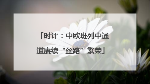时评：中欧班列中通道赓续“丝路”繁荣