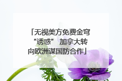 无视美方免费金穹“诱惑” 加拿大转向欧洲谋国防合作