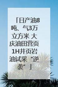 日产油8吨、气3万立方米 大庆油田营页1H井页岩油试采“逆袭”