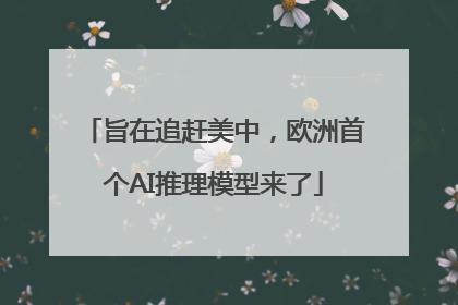 旨在追赶美中，欧洲首个AI推理模型来了