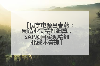 昆宇电源吕春燕：制造业需精打细算，SAP项目实现精细化成本管理