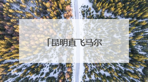 昆明直飞马尔代夫航线复航 昆明边检全力保障暑期跨境游