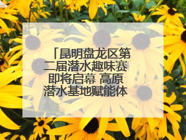 昆明盘龙区第二届潜水趣味赛即将启幕 高原潜水基地赋能体育事业新发展