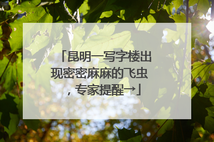 昆明一写字楼出现密密麻麻的飞虫，专家提醒→