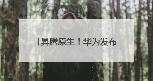昇腾原生！华为发布准万亿模型Pangu Ultra MoE模型架构和训练细节