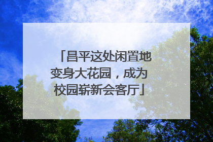 昌平这处闲置地变身大花园，成为校园崭新会客厅