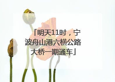 明天11时，宁波舟山港六横公路大桥一期通车