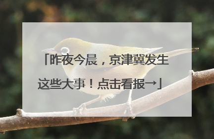 昨夜今晨，京津冀发生这些大事！点击看报→