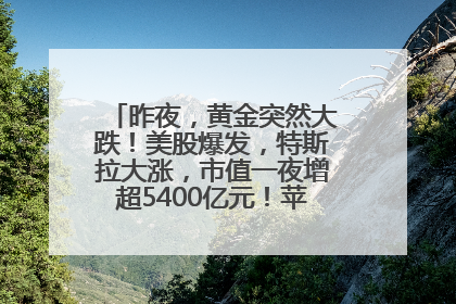 昨夜，黄金突然大跌！美股爆发，特斯拉大涨，市值一夜增超5400亿元！苹果传来大消息
