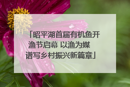 昭平湖首届有机鱼开渔节启幕 以渔为媒 谱写乡村振兴新篇章