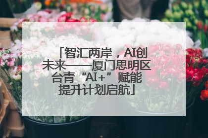 智汇两岸，AI创未来——厦门思明区台青“AI+”赋能提升计划启航