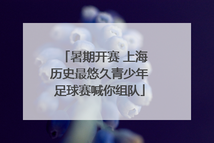 暑期开赛 上海历史最悠久青少年足球赛喊你组队