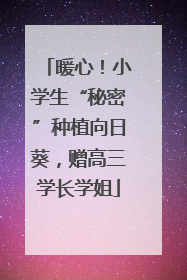 暖心！小学生“秘密”种植向日葵，赠高三学长学姐