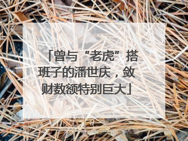 曾与“老虎”搭班子的潘世庆，敛财数额特别巨大