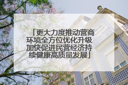 更大力度推动营商环境全方位优化升级加快促进民营经济持续健康高质量发展