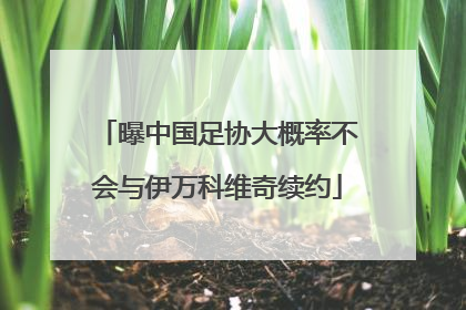 曝中国足协大概率不会与伊万科维奇续约