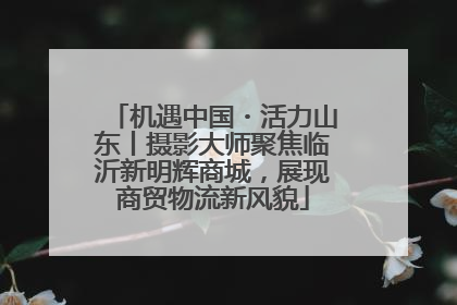 机遇中国・活力山东丨摄影大师聚焦临沂新明辉商城，展现商贸物流新风貌