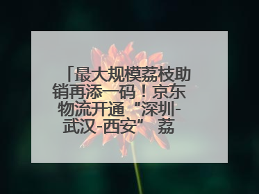 最大规模荔枝助销再添一码！京东物流开通“深圳-武汉-西安” 荔枝全货机航线