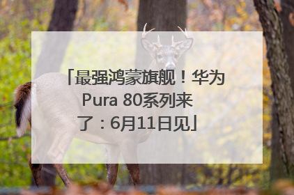 最强鸿蒙旗舰！华为Pura 80系列来了：6月11日见