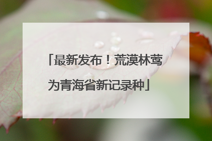 最新发布！荒漠林莺为青海省新记录种