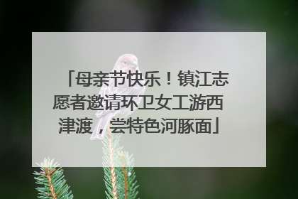 母亲节快乐！镇江志愿者邀请环卫女工游西津渡，尝特色河豚面