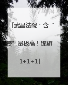 武昌法院：含“赞”量极高！锦旗1+1+1