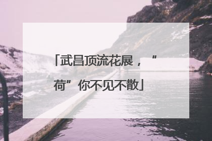 武昌顶流花展，“荷”你不见不散