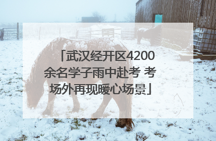 武汉经开区4200余名学子雨中赴考 考场外再现暖心场景