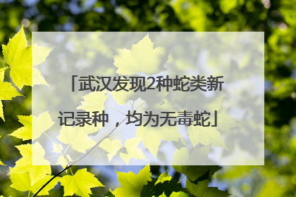 武汉发现2种蛇类新记录种，均为无毒蛇