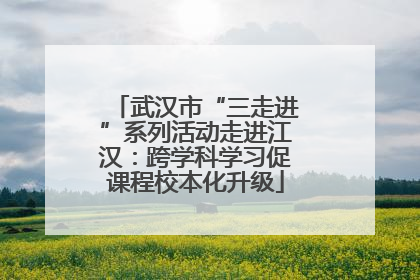 武汉市“三走进”系列活动走进江汉：跨学科学习促课程校本化升级