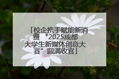 校企携手赋能新消费 “2025成都大学生新媒体创意大赛”圆满收官