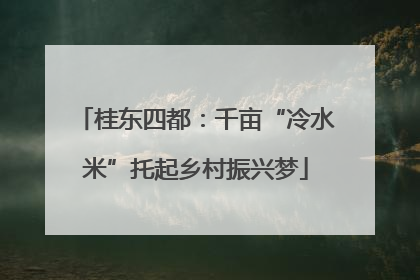 桂东四都：千亩“冷水米”托起乡村振兴梦