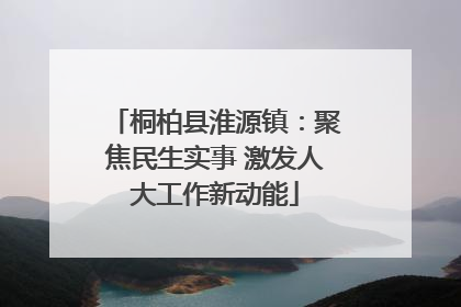 桐柏县淮源镇：聚焦民生实事 激发人大工作新动能